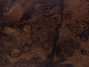 Walnut Burl